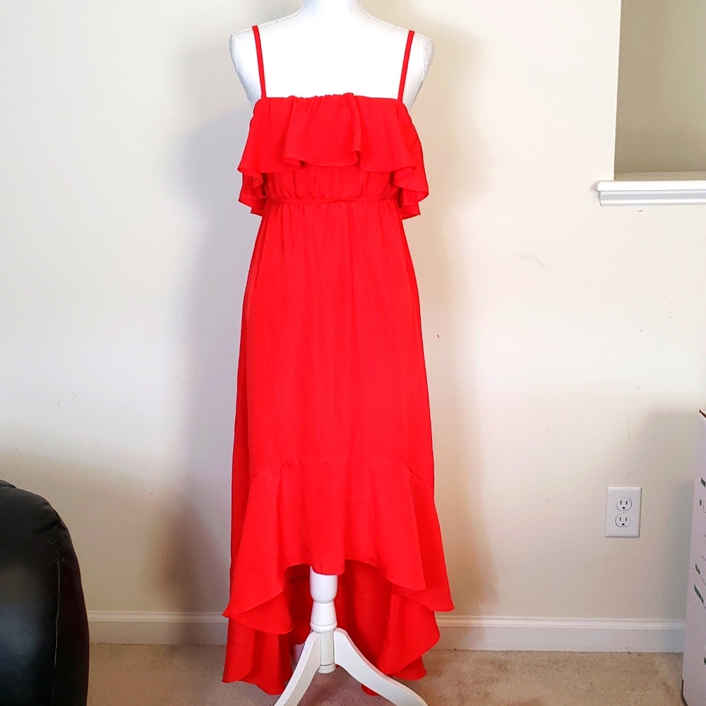Sofia Vergara Dress